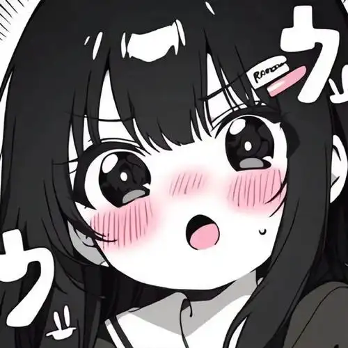 观众晚风来信头像